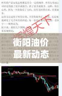 衡阳油价最新动态,今日图片更新及市场深度解析