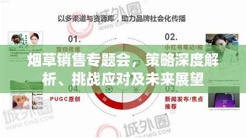 烟草销售专题会,策略深度解析、挑战应对及未来展望