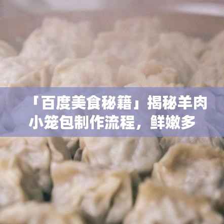 「百度美食秘籍」揭秘羊肉小笼包制作流程,鲜嫩多汁口感绝佳!