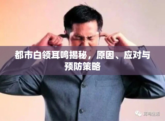 都市白领耳鸣揭秘,原因、应对与预防策略