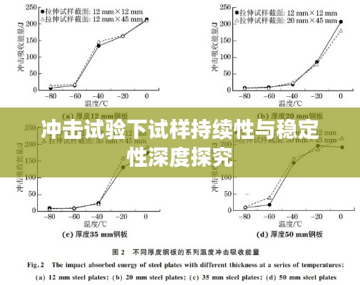 冲击试验下试样持续性与稳定性深度探究