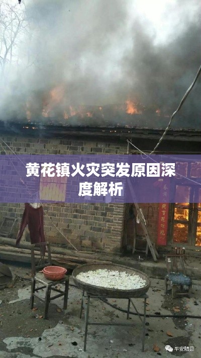 久别重逢 第5页