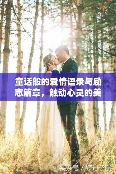 童话般的爱情语录与励志篇章,触动心灵的美好语句