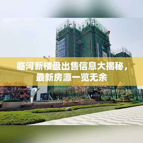临河新楼盘出售信息大揭秘,最新房源一览无余