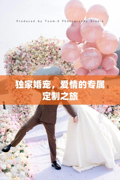 独家婚宠,爱情的专属定制之旅