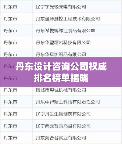 龙飞九五 第5页