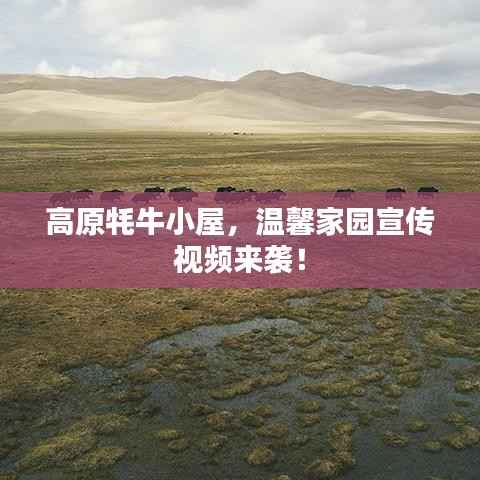 差强人意 第5页