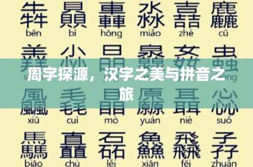 周字探源，汉字之美与拼音之旅