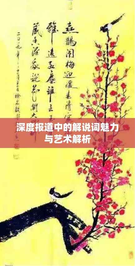 深度报道中的解说词魅力与艺术解析