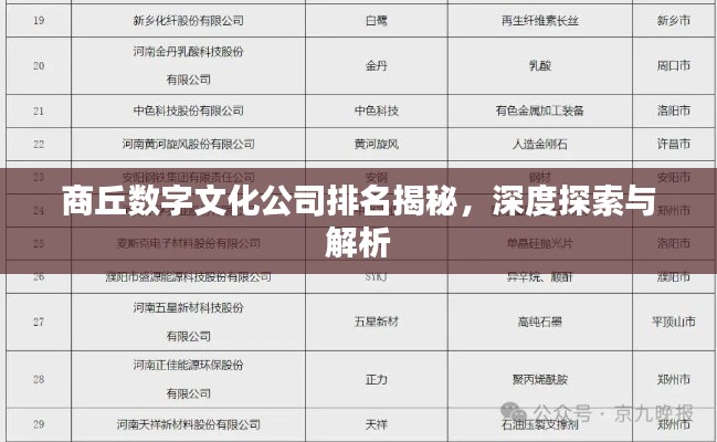 商丘数字文化公司排名揭秘，深度探索与解析