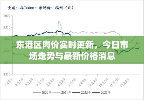 东港区肉价实时更新,今日市场走势与最新价格消息