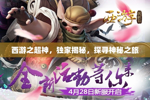 西游之超神,独家揭秘,探寻神秘之旅