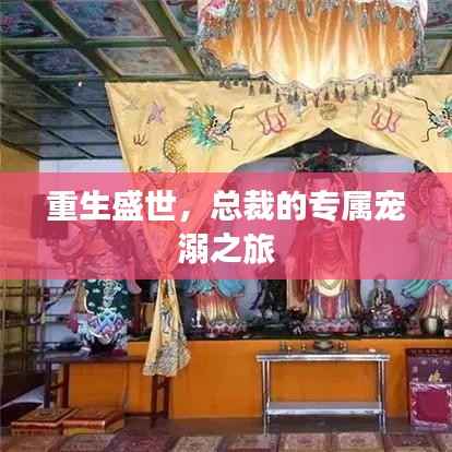 重生盛世，总裁的专属宠溺之旅