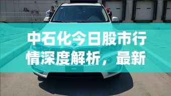 中石化今日股市行情深度解析，最新动态，一览无遗