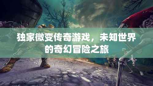 独家微变传奇游戏,未知世界的奇幻冒险之旅