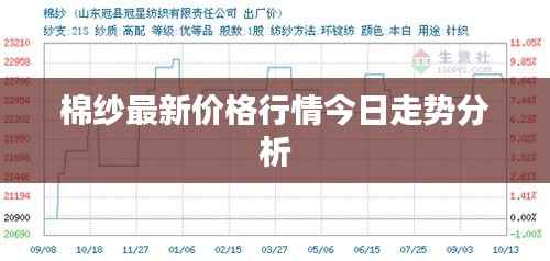 棉纱最新价格行情今日走势分析