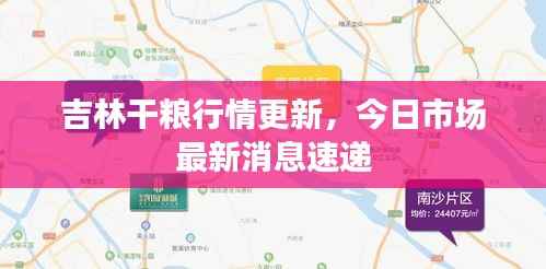 吉林干粮行情更新,今日市场最新消息速递