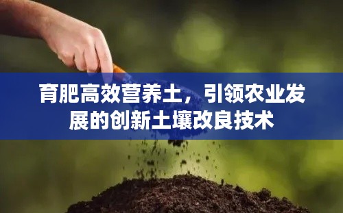 育肥高效营养土，引领农业发展的创新土壤改良技术