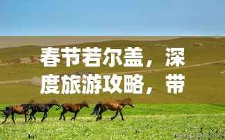 春节若尔盖,深度旅游攻略,带你玩转草原风情!