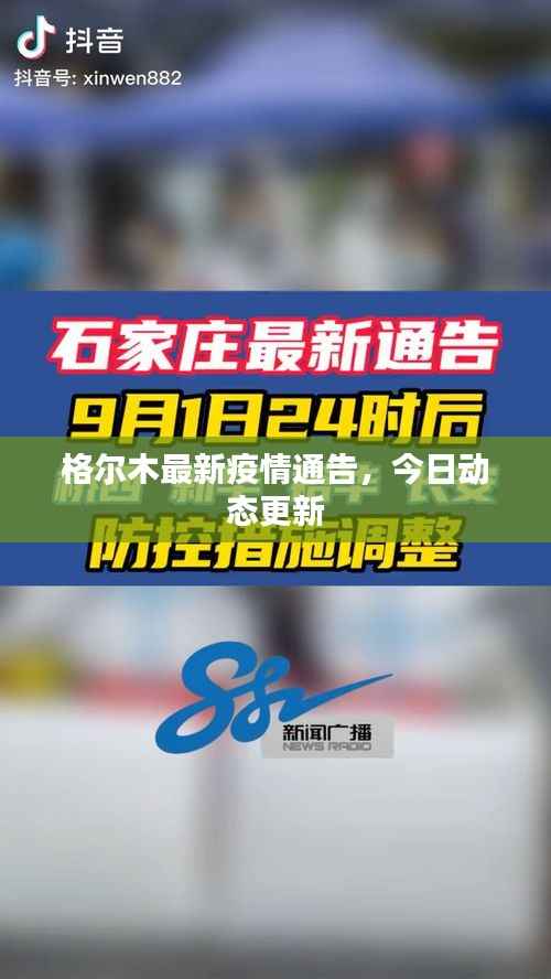 惊弦之鸟 第3页