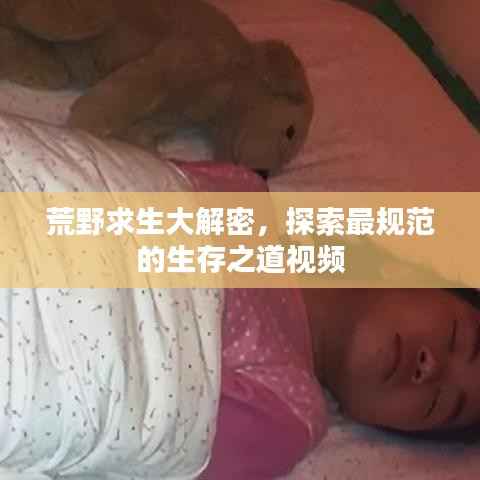 荒野求生大解密,探索最规范的生存之道视频