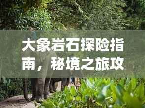 大象岩石探险指南，秘境之旅攻略