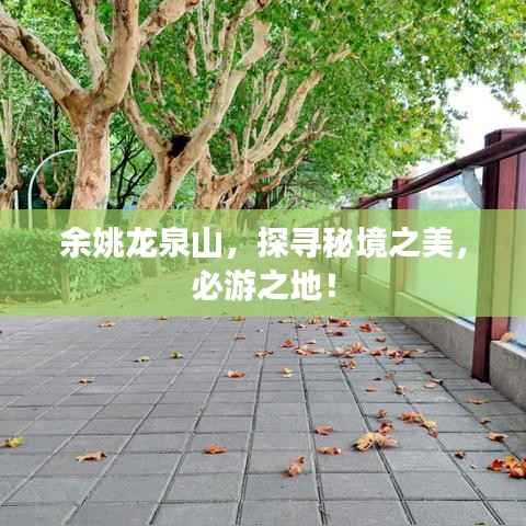 余姚龙泉山,探寻秘境之美,必游之地!