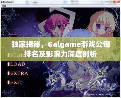 独家揭秘，Galgame游戏公司排名及影响力深度剖析
