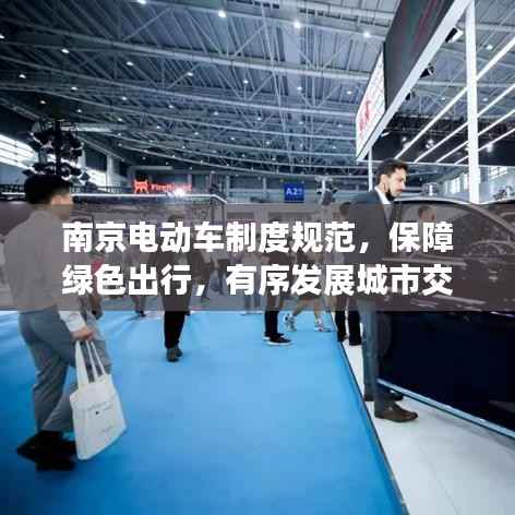 南京电动车制度规范，保障绿色出行，有序发展城市交通