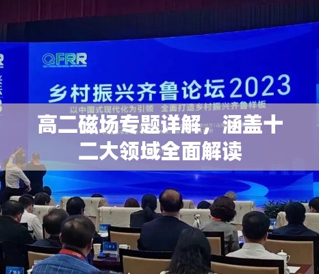 高二磁场专题详解，涵盖十二大领域全面解读