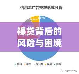 裸贷背后的风险与困境深度剖析