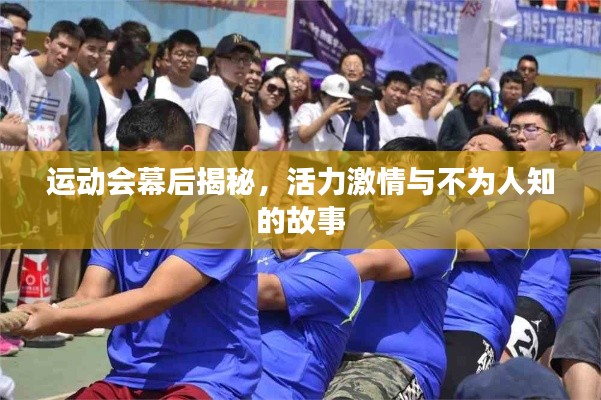 运动会幕后揭秘，活力激情与不为人知的故事