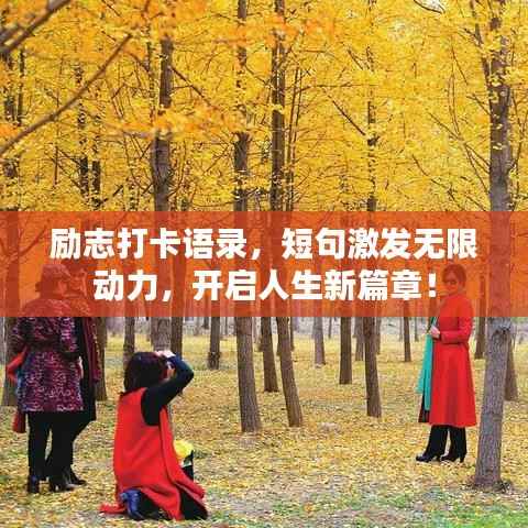 励志打卡语录,短句激发无限动力,开启人生新篇章!