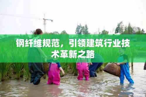 钢纤维规范,引领建筑行业技术革新之路