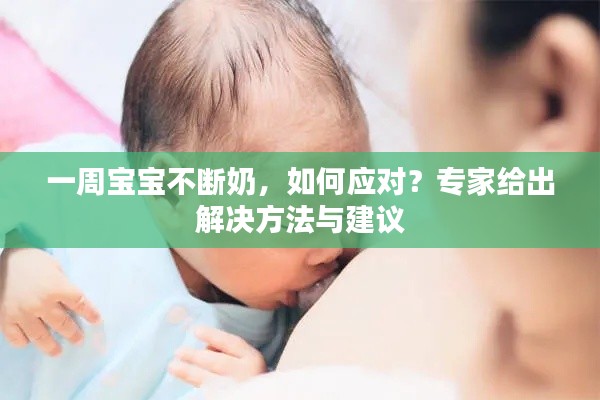 一周宝宝不断奶,如何应对?专家给出解决方法与建议