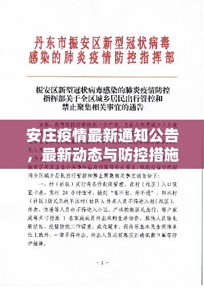 安庄疫情最新通知公告，最新动态与防控措施更新