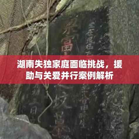 湖南失独家庭面临挑战，援助与关爱并行案例解析