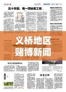 义桥地区赌博新闻揭秘，最新报道消息全掌握