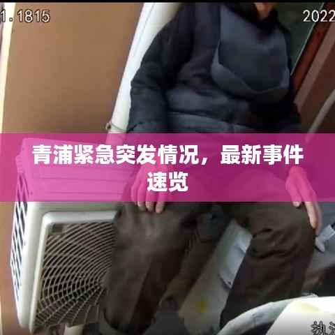 青浦紧急突发情况，最新事件速览