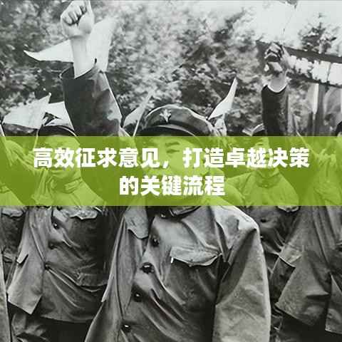 高效征求意见，打造卓越决策的关键流程