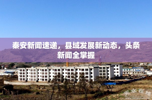 秦安新闻速递，县域发展新动态，头条新闻全掌握