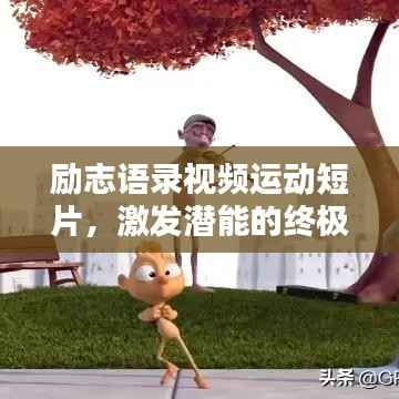 励志语录视频运动短片，激发潜能的终极力量之源
