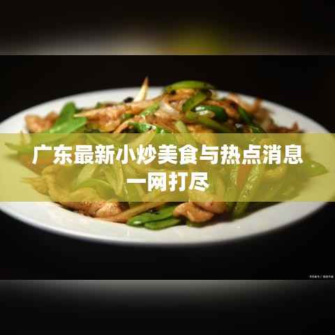 广东最新小炒美食与热点消息一网打尽