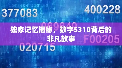 独家记忆揭秘，数字5310背后的非凡故事