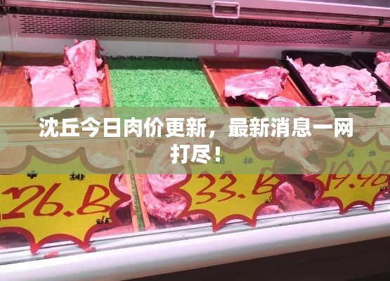 沈丘今日肉价更新,最新消息一网打尽!
