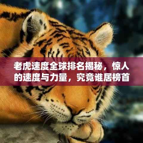 老虎速度全球排名揭秘，惊人的速度与力量，究竟谁居榜首？