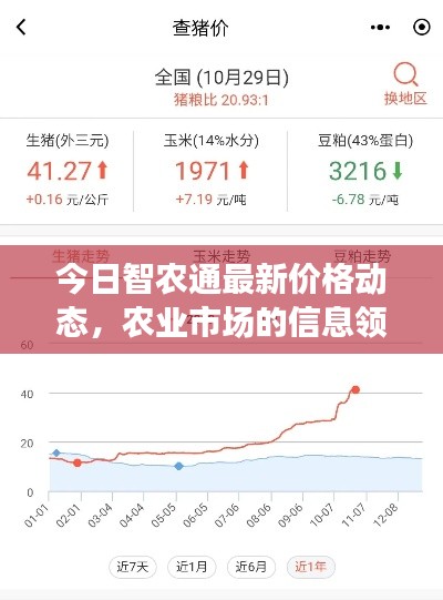 今日智农通最新价格动态，农业市场的信息领航者