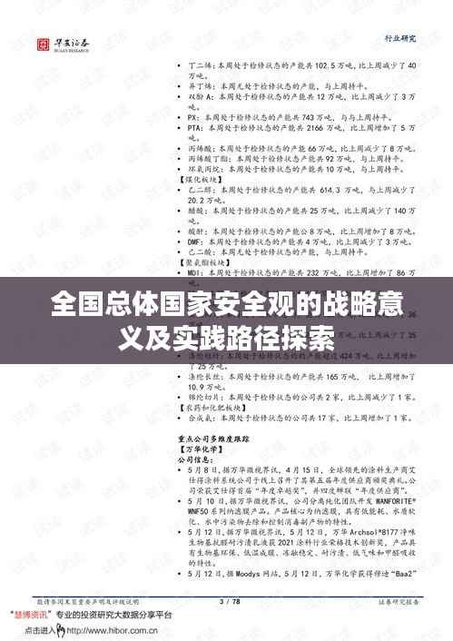 全国总体国家安全观的战略意义及实践路径探索