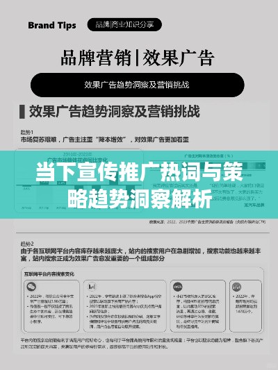 当下宣传推广热词与策略趋势洞察解析