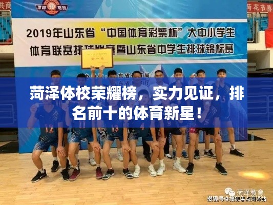菏泽体校荣耀榜,实力见证,排名前十的体育新星!